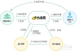 小油菜 理財產(chǎn)品如何選擇適合自己的投資項目