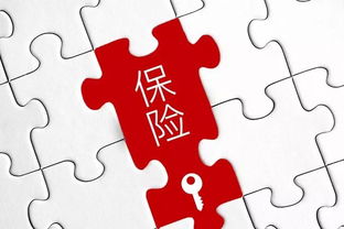 年輕人如何開始存錢理財 需要先了解哪些理財知識呢