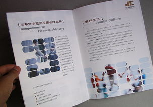 咨詢公司畫冊設計 圖片清晰的商務咨詢畫冊設計 投資管理畫冊設計 公司樣本設計 企業(yè)畫冊設計